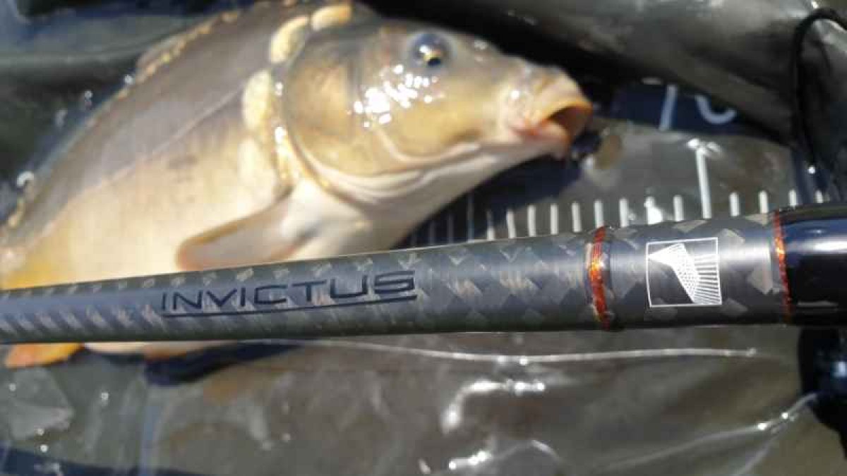 Kaprový prut Invictus Carp, 2 díl 366cm / 3,00lbs Kaprový prut Invictus Carp, 2 díl 366cm / 3,00lbs