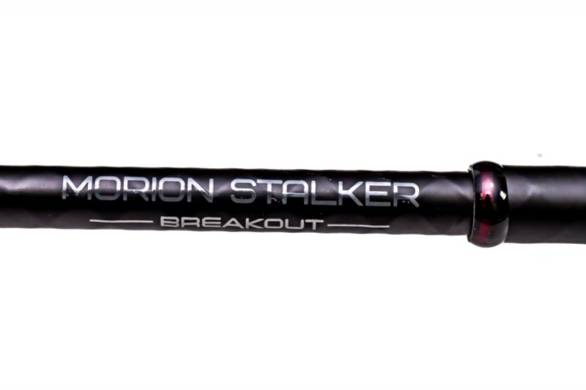 Kaprový prut Sportex Morion  Stalker Breakout 10ft 3lb