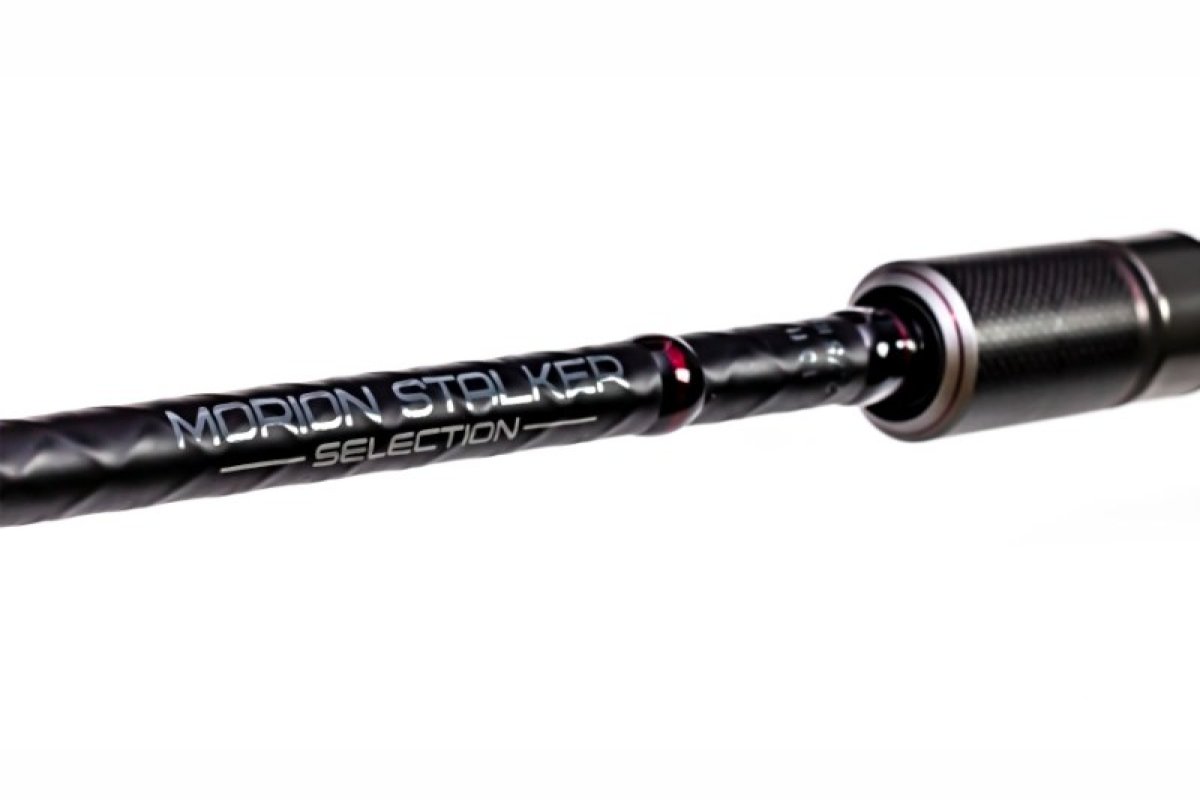 Kaprový prut Sportex Morion Stalker Selection 10ft 3,50lb
