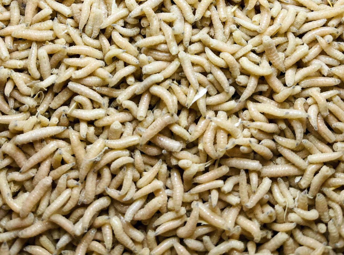 Pinka bílá (1L=600gr.)