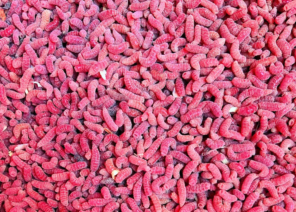 Pinka červená (1L=600gr.)