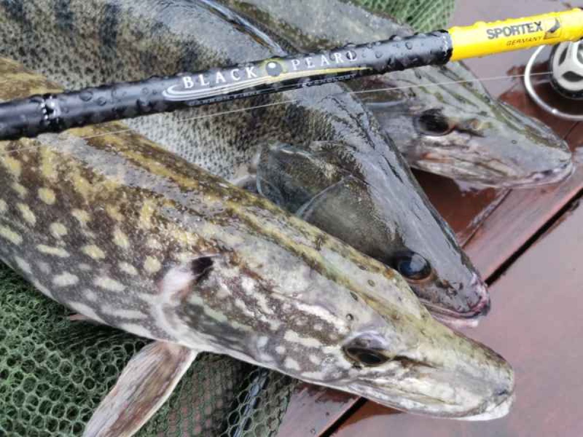 Přívlačový prut Black Pearl GT-3 2-díl 210cm 20g
