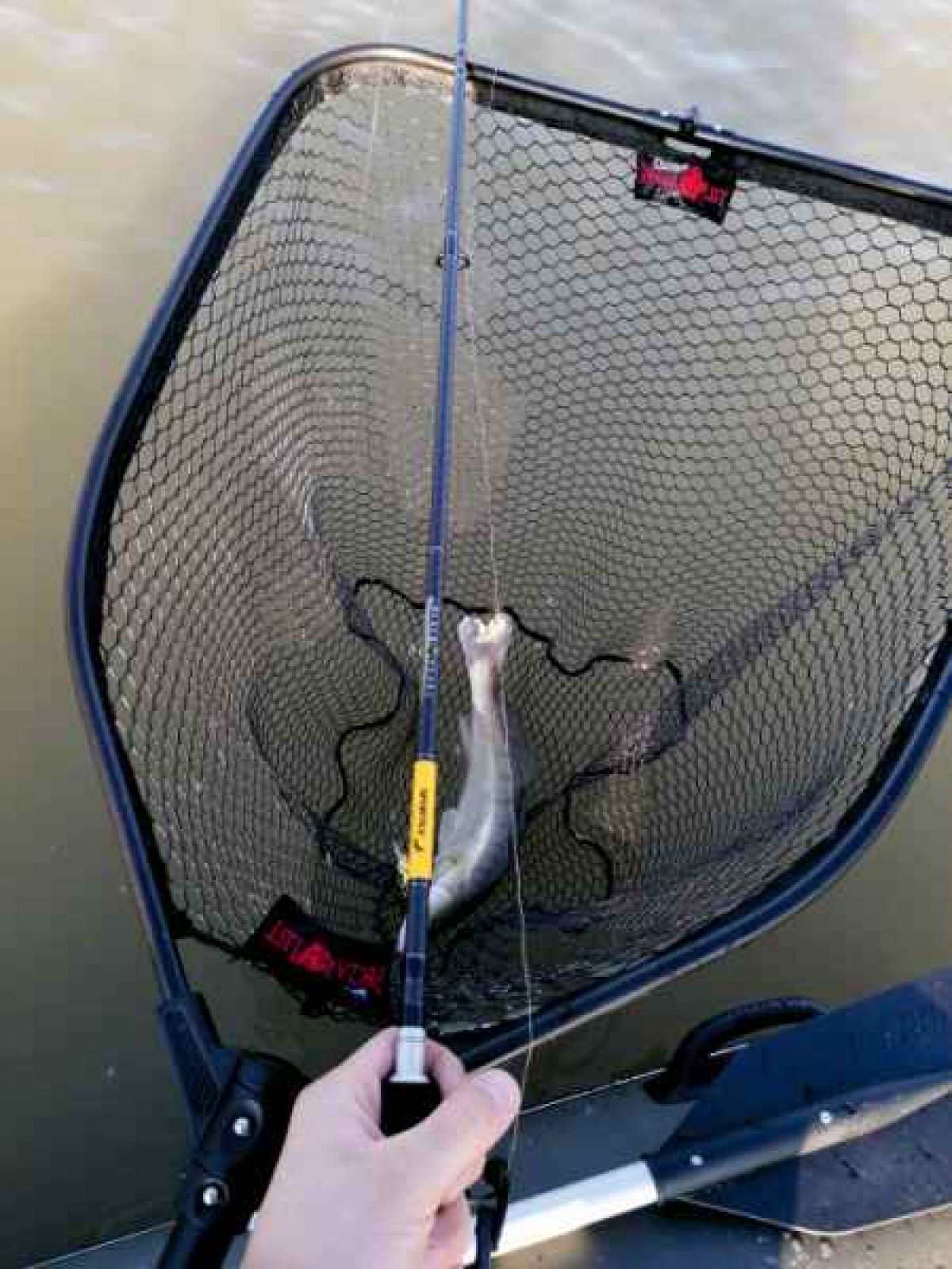 Přívlačový prut Black Pearl GT-3 2-díl 270cm 20g