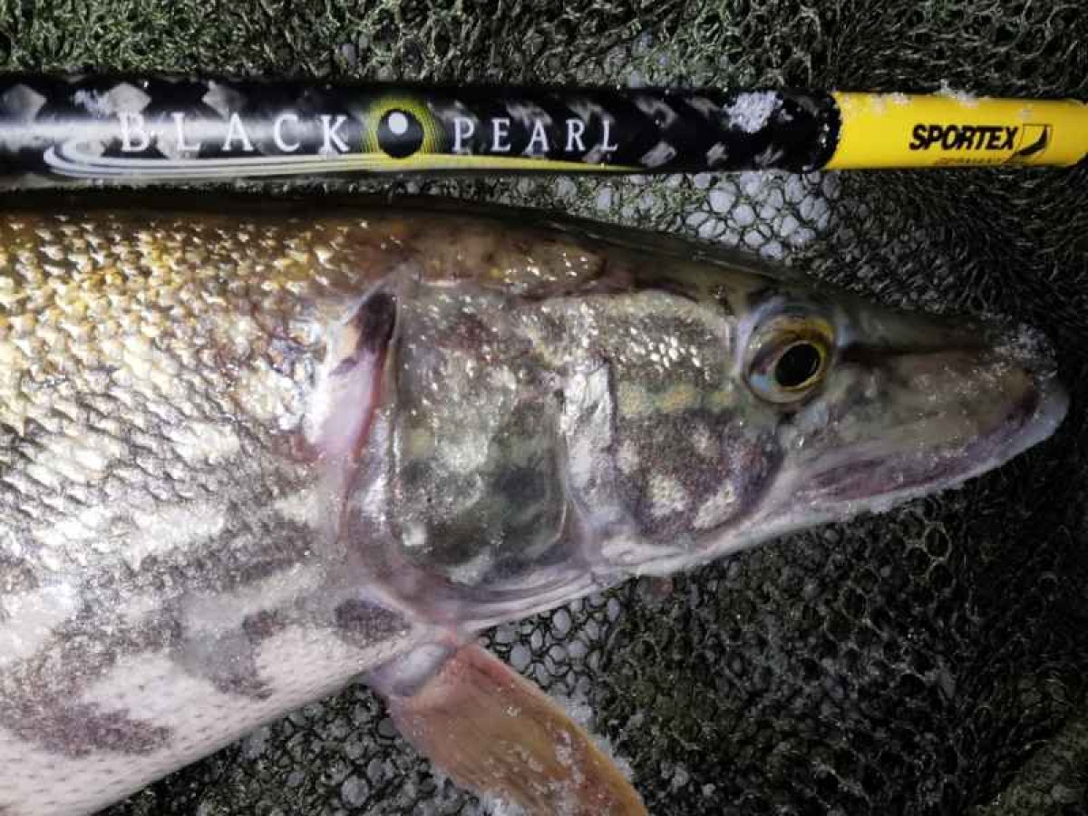 Přívlačový prut Black Pearl GT-3 2-díl 270cm 20g