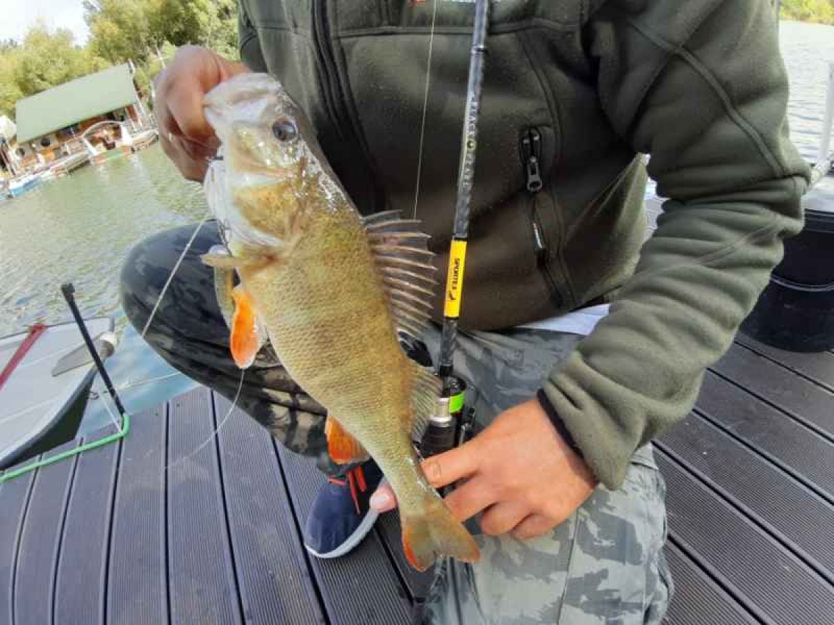 Přívlačový prut Black Pearl GT-3 2-díl 270cm 20g