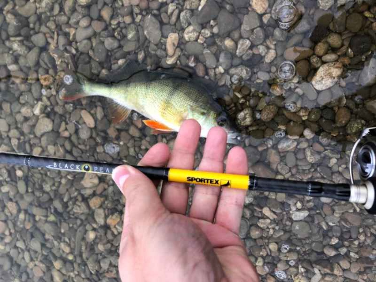 Přívlačový prut Black Pearl GT-3 2-díl 270cm 20g
