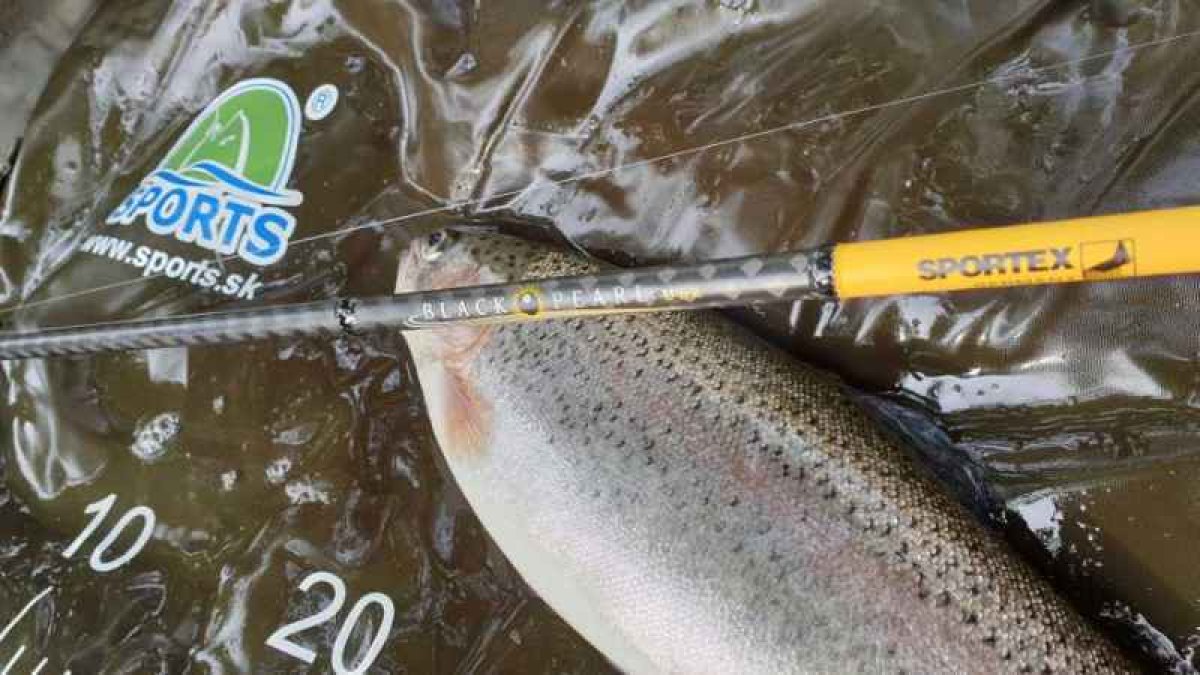 Přívlačový prut Black Pearl GT-3 ultra light 210cm 2-8g