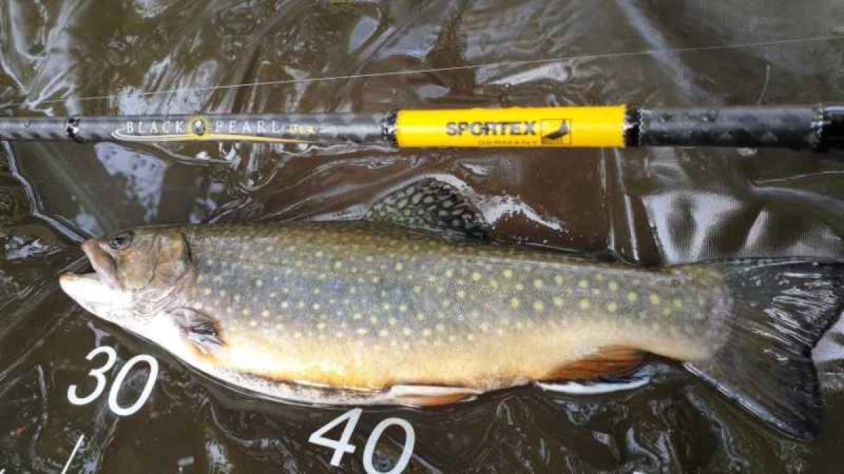 Přívlačový prut Black Pearl GT-3 ultra light 270cm 2-8g