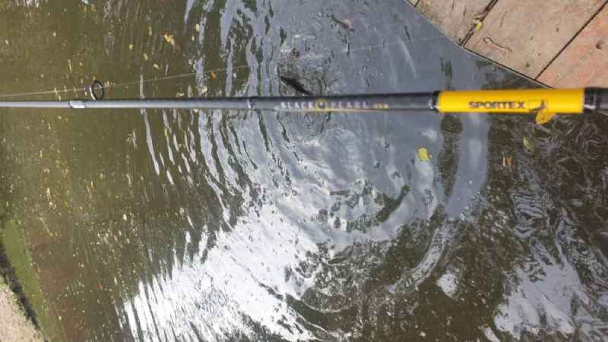 Přívlačový prut Black Pearl GT-3 ultra light 270cm 2-8g