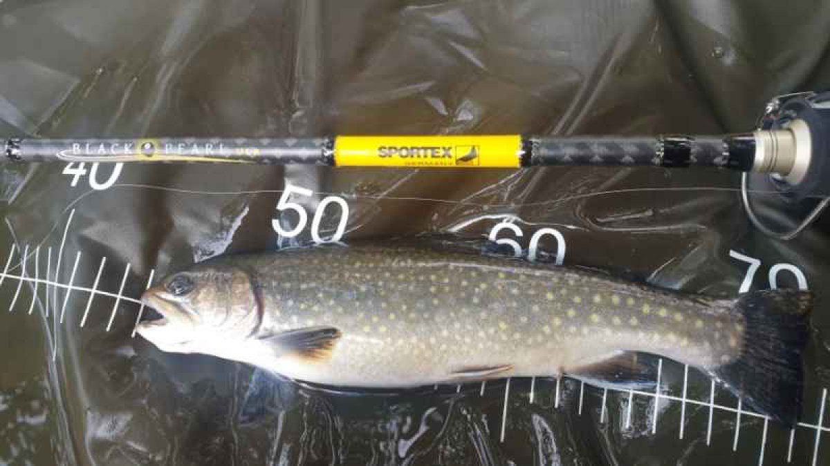 Přívlačový prut Black Pearl GT-3 ultra light 270cm 2-8g