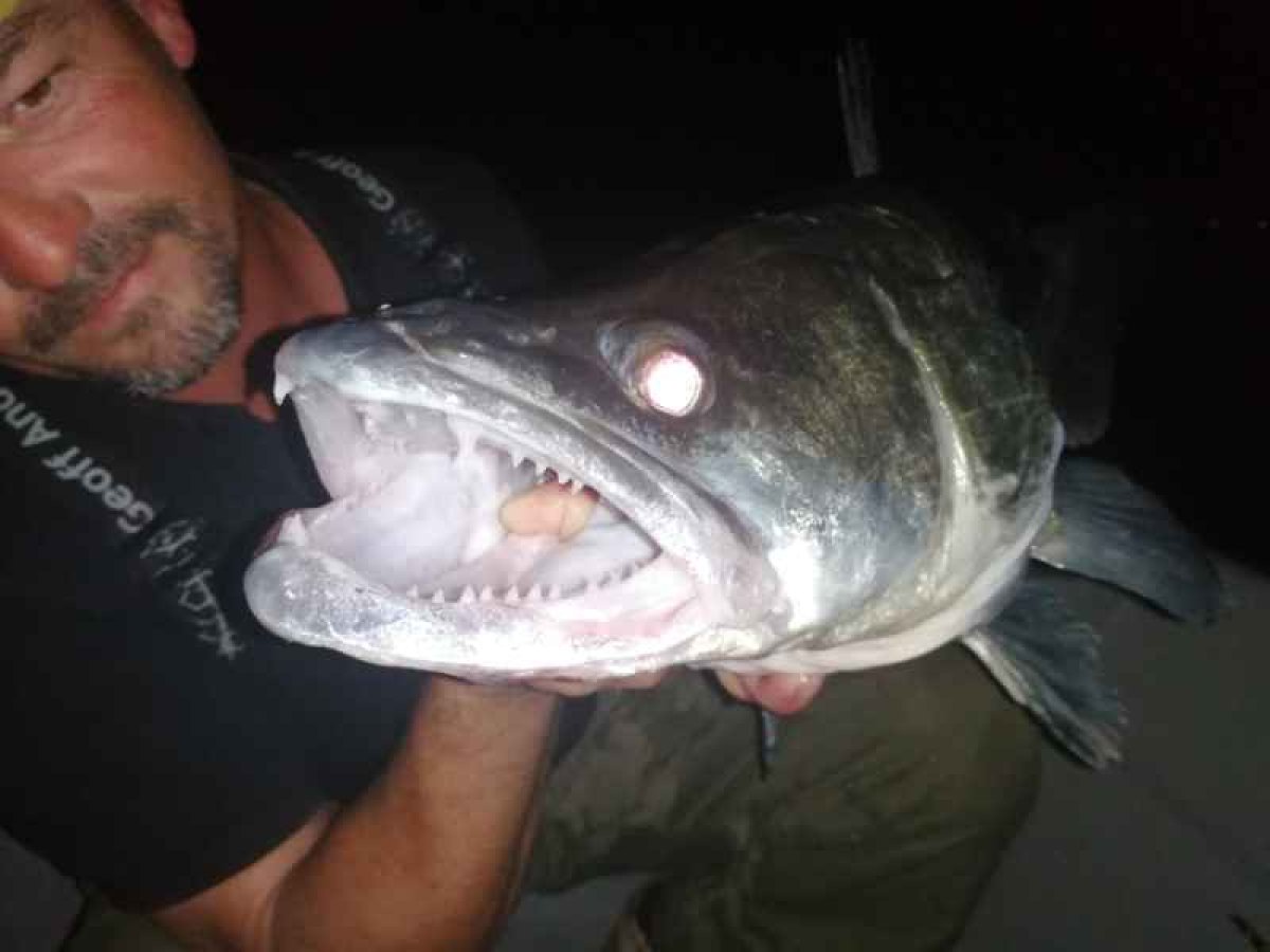 Přívlačový prut Revolt Spin 2-díl 240cm 40g