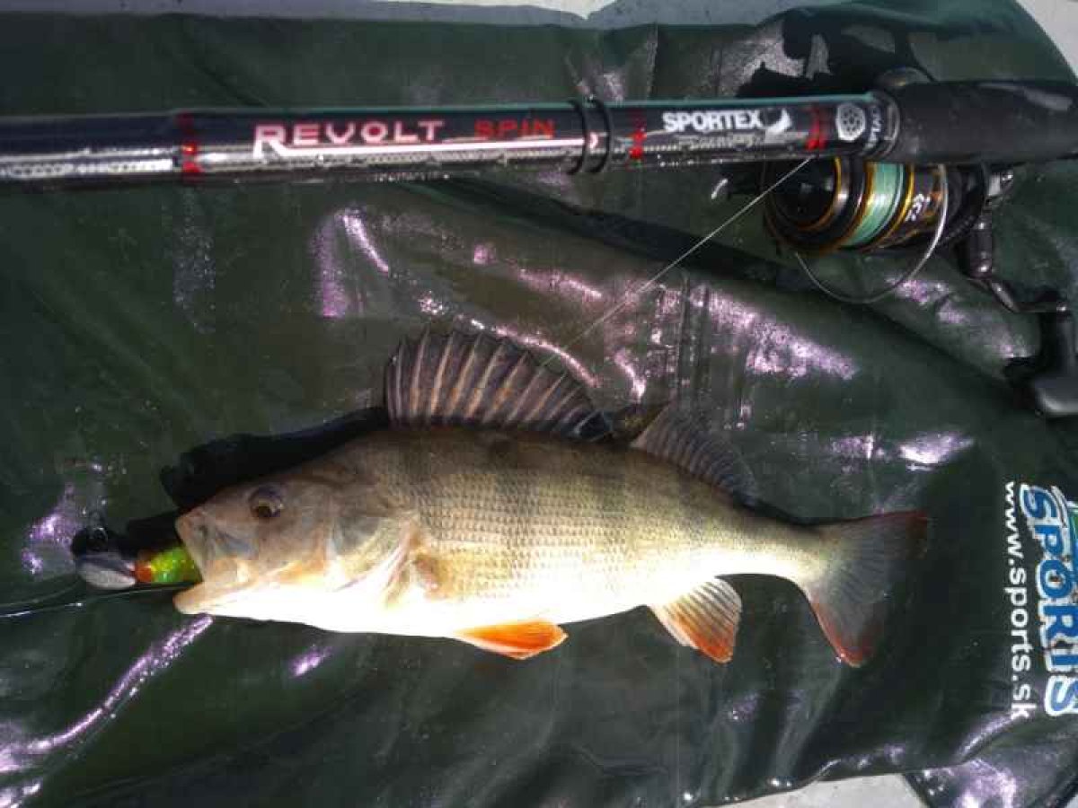 Přívlačový prut Revolt Spin 2-díl 240cm 40g
