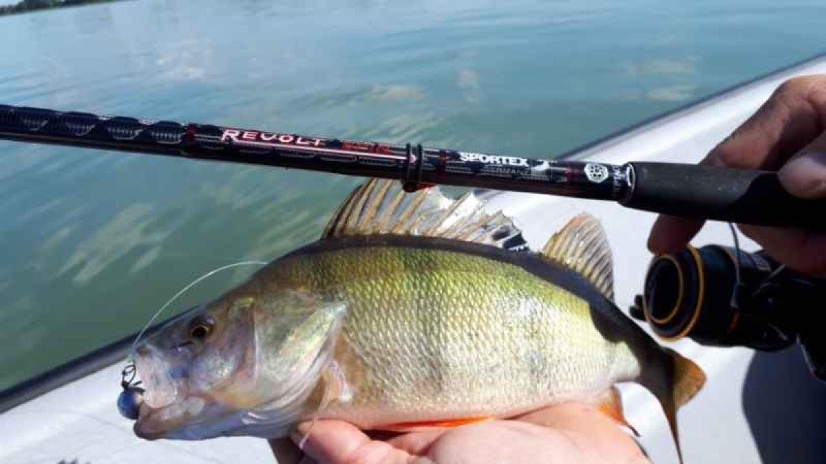 Přívlačový prut Revolt Spin 2-díl 240cm 40g