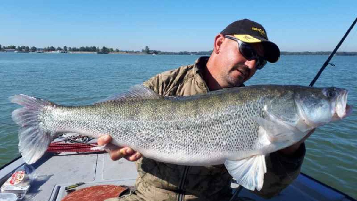 Přívlačový prut Revolt Spin 2-díl 240cm 40g