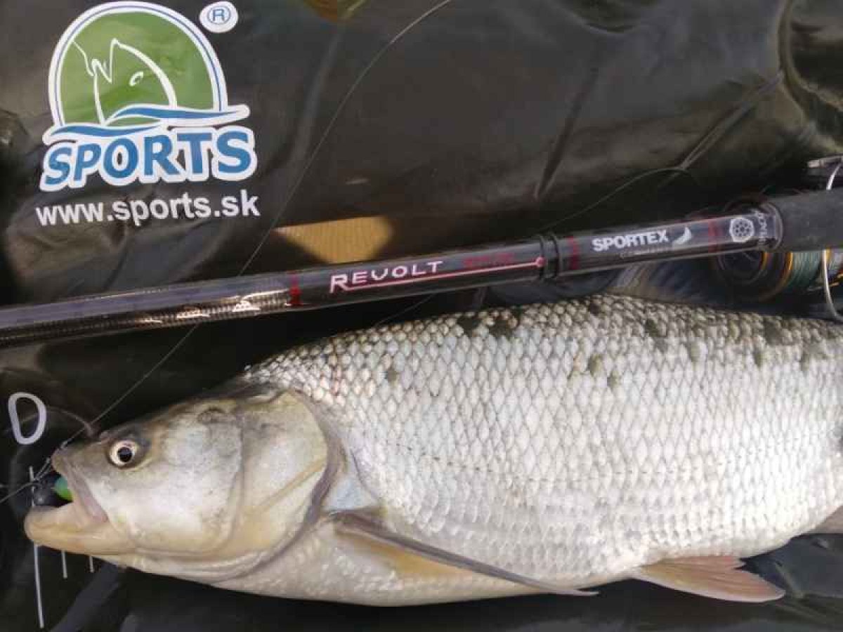 Přívlačový prut Revolt Spin 2-díl 270cm 60g