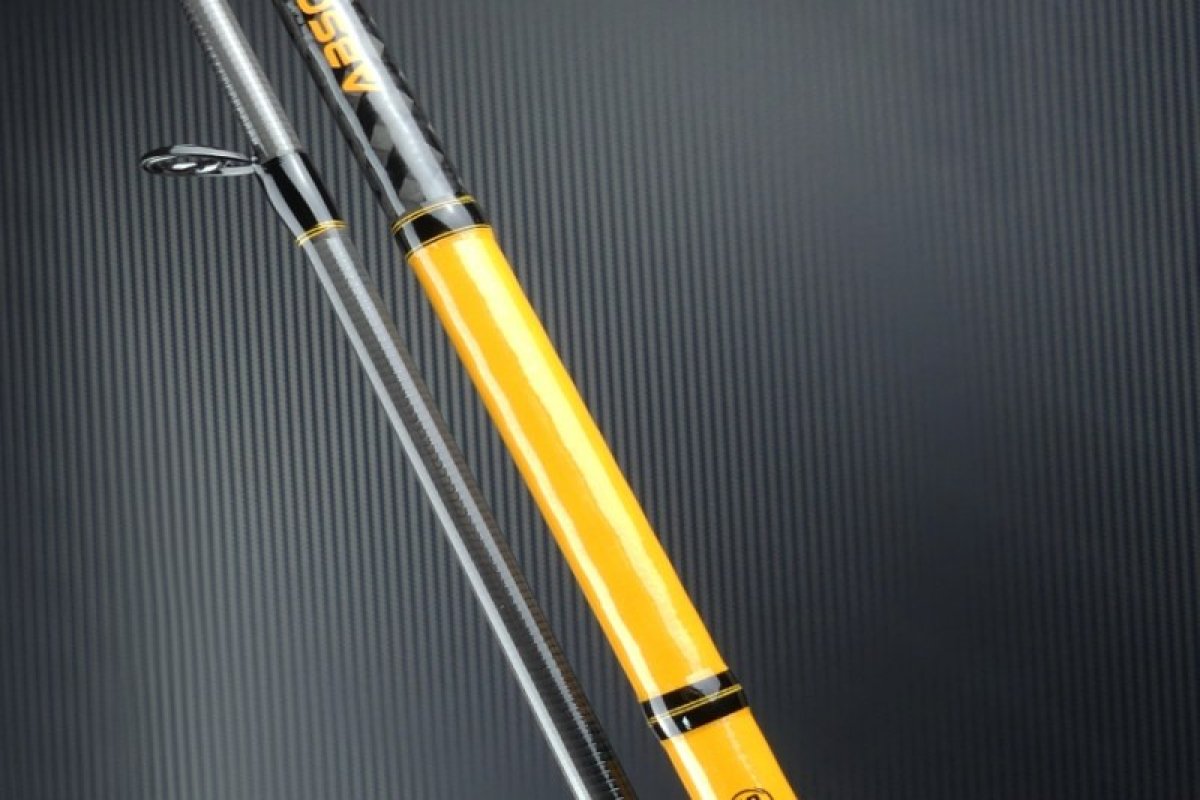Přívlačový prut Sportex Absolut Level3 2-díl 210cm / 11-55g