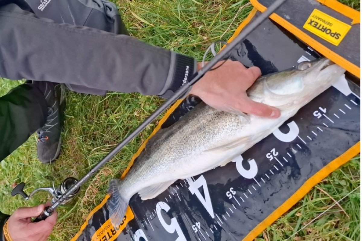 Přívlačový prut Sportex Graphenon RS-2 spin 2-díl 240cm / 60g