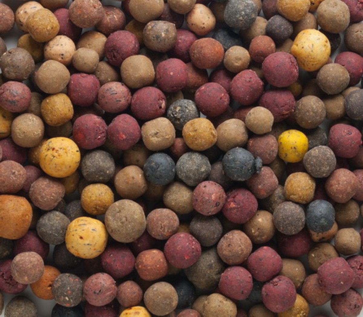 Rapid Boilies - Multi Mix (2,5kg) Rapid Boilies - Multi Mix (2,5kg)