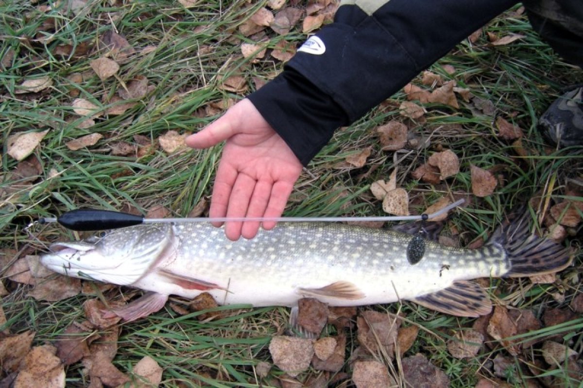 Rybářský systém Boom SPORTS 30cm / 3g