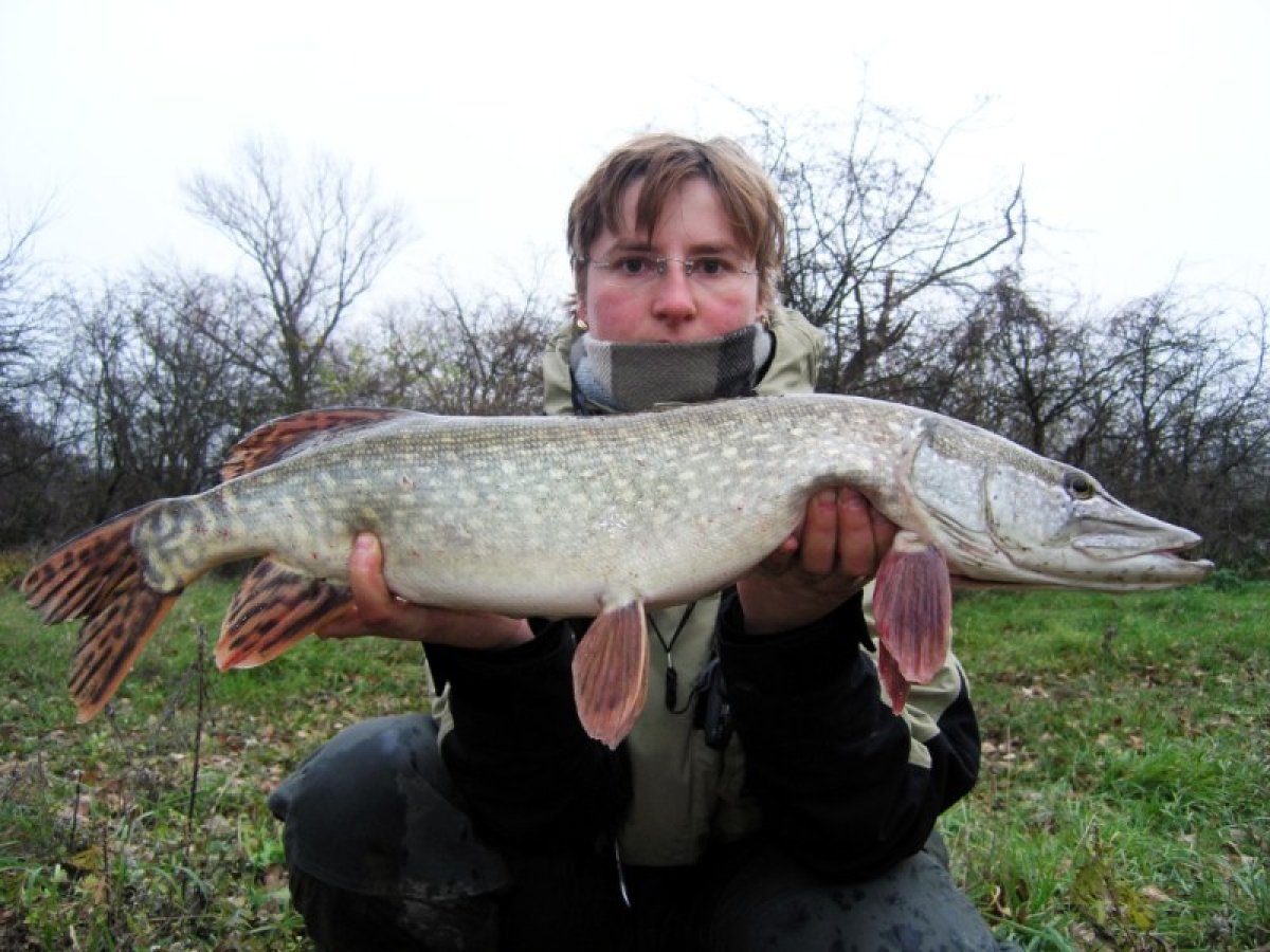 Rybářský systém Boom SPORTS 40cm / 20g