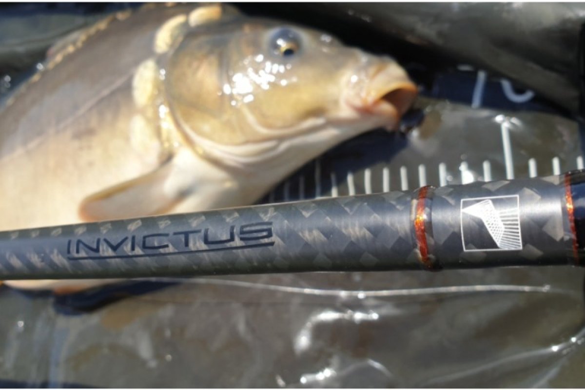Set:Sportex Invictus 12ft/3lb + Shimano ULT14000XSE