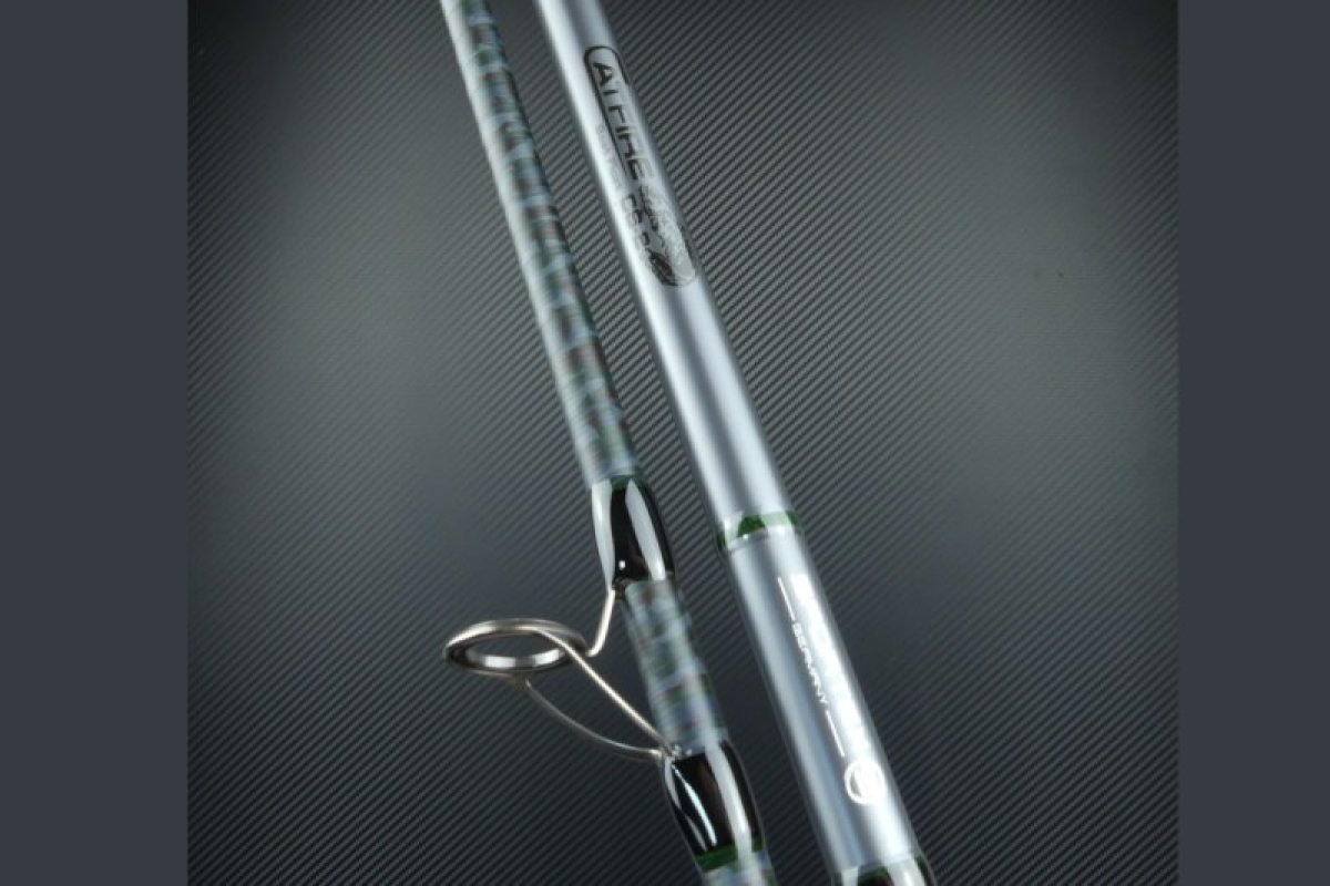 Sumcové pruty Catfire CS-2 Boat Float 240cm 100-200g