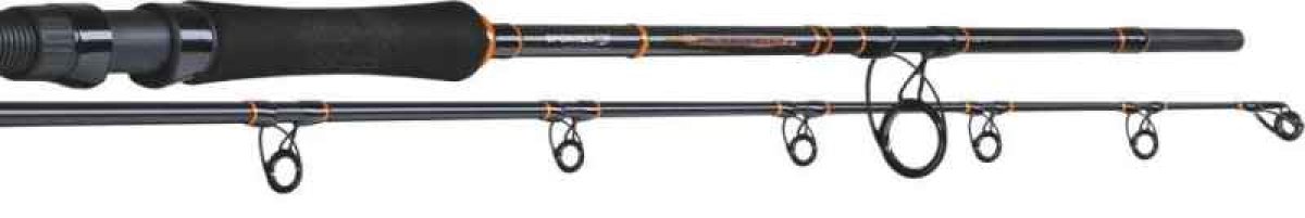 Sumcový prut Catfire spin 2-díl 240cm 70-190g