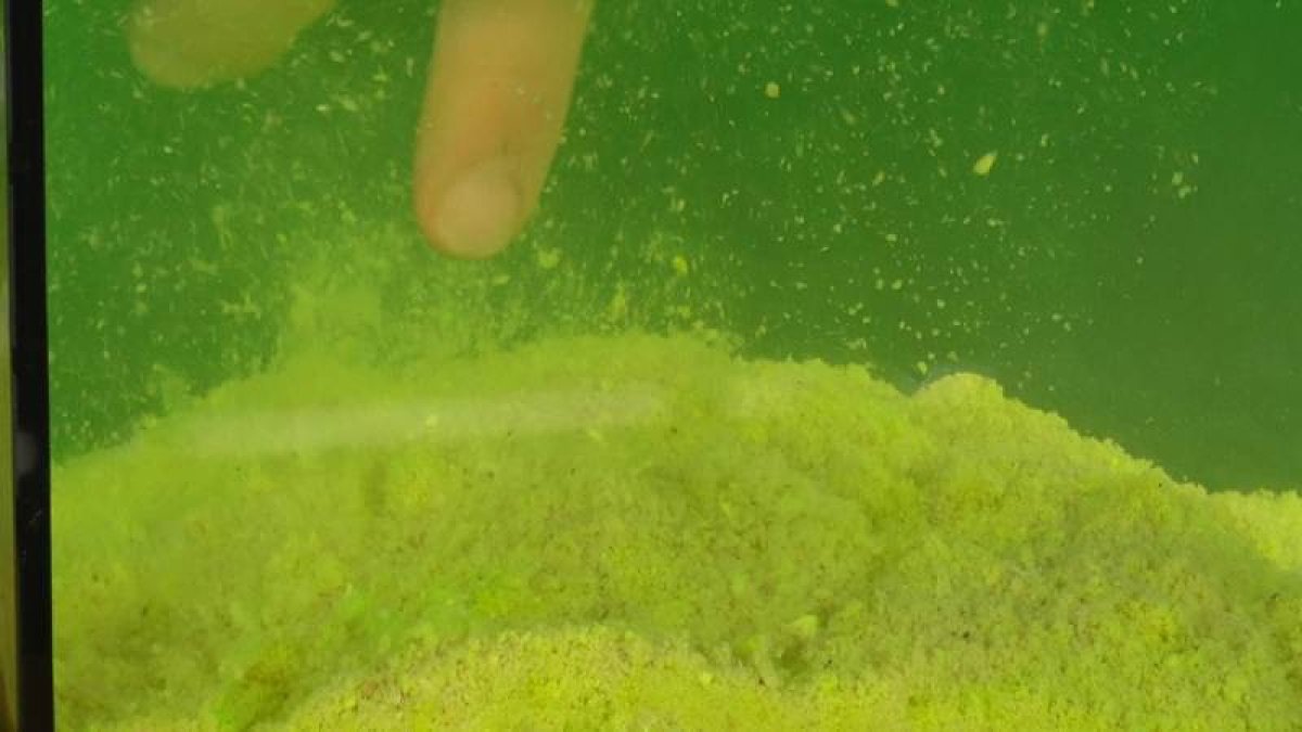 SuperFeed Diffusion Pellet 8mm / 1kg Fruit Beast