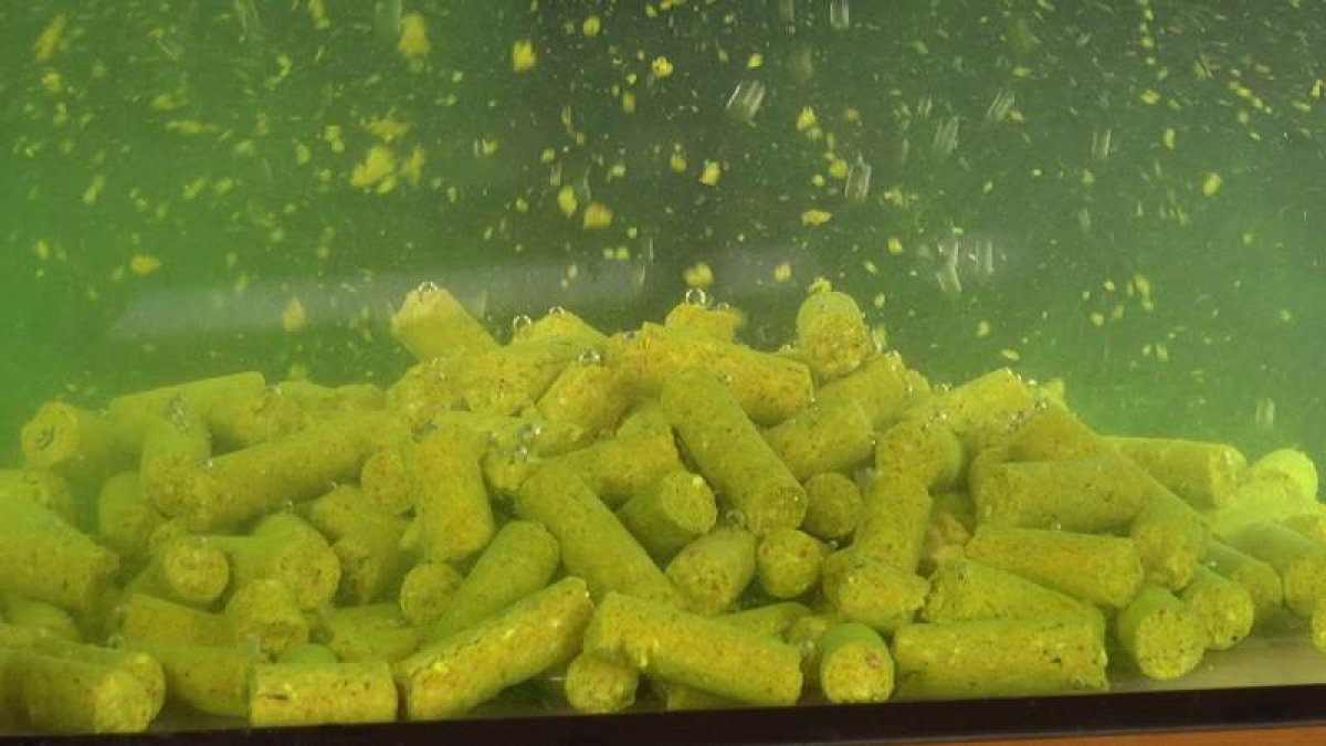 SuperFeed Diffusion Pellet 8mm / 1kg Fruit Beast