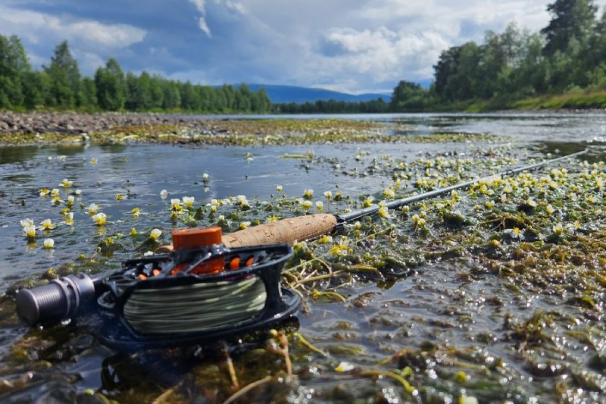 Synoris Fly 4-díl 270cm / aftma 7