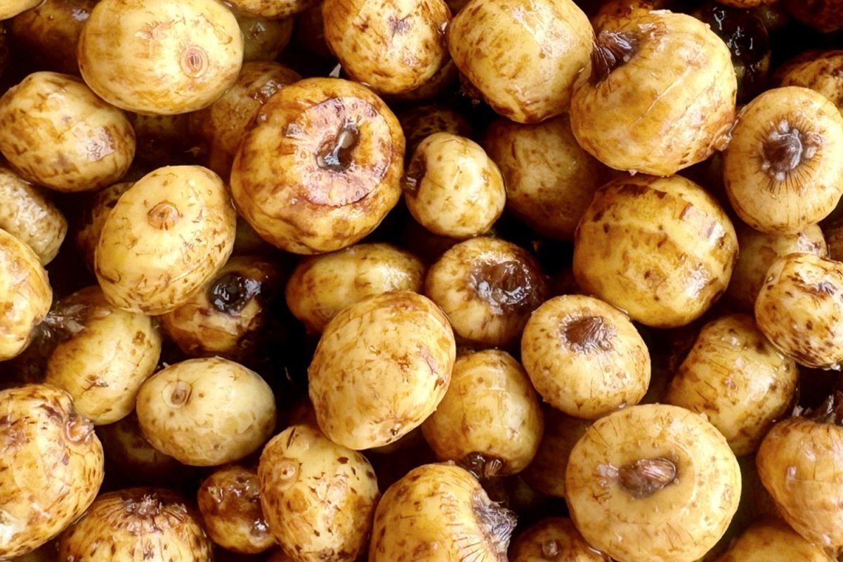 Tygří ořech 2,5kg