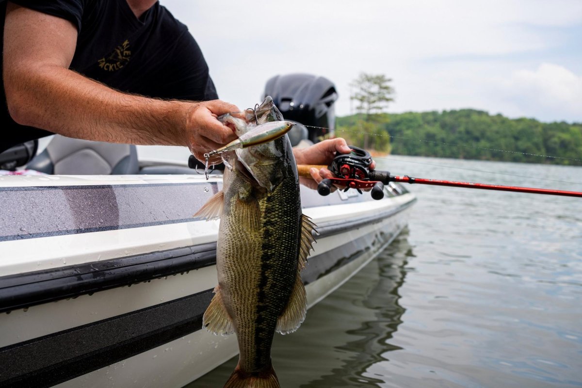 Wobler Berkley Choppo 75mm - Duch Bluegill
