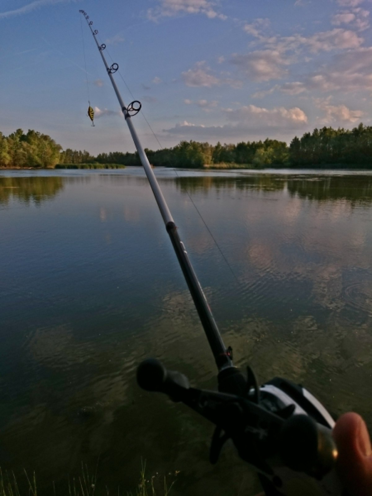 Wobler Slider SD6S barva WE
