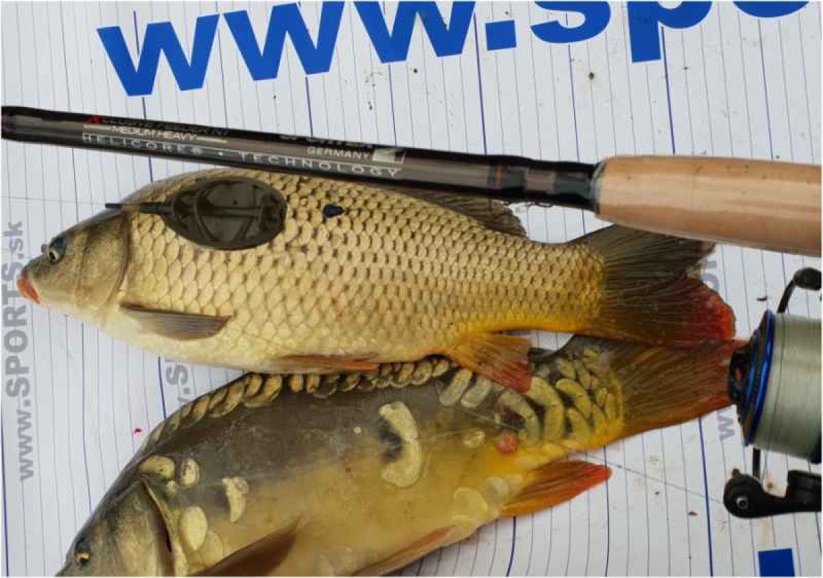 Xclusive M/H Feeder NT 360cm,100-190g