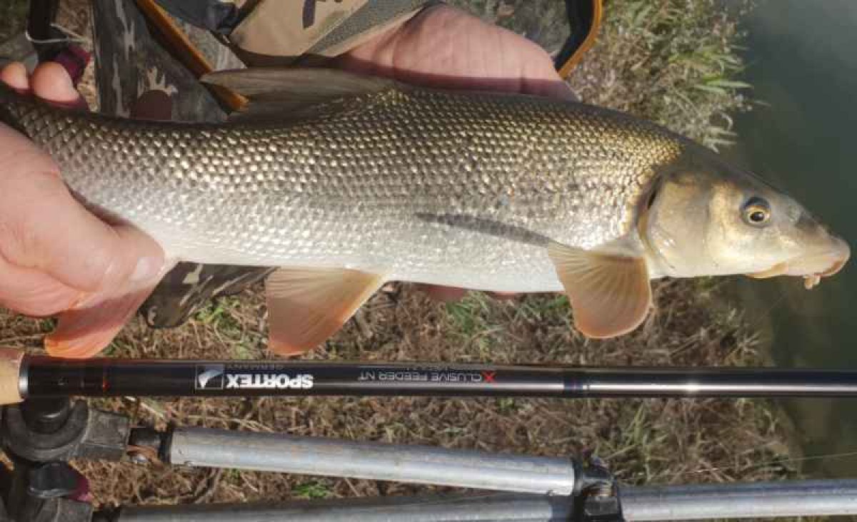 Xclusive M/H Feeder NT 360cm,100-190g