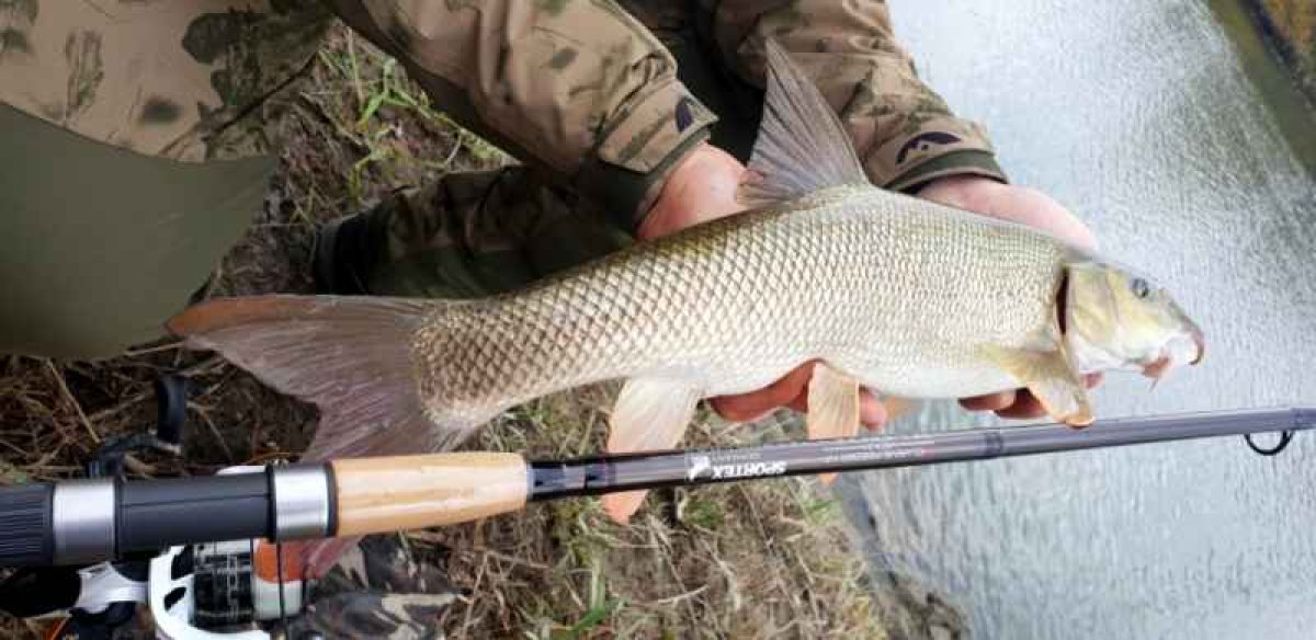 Xclusive Medium Feeder NT 420cm, 90-160g