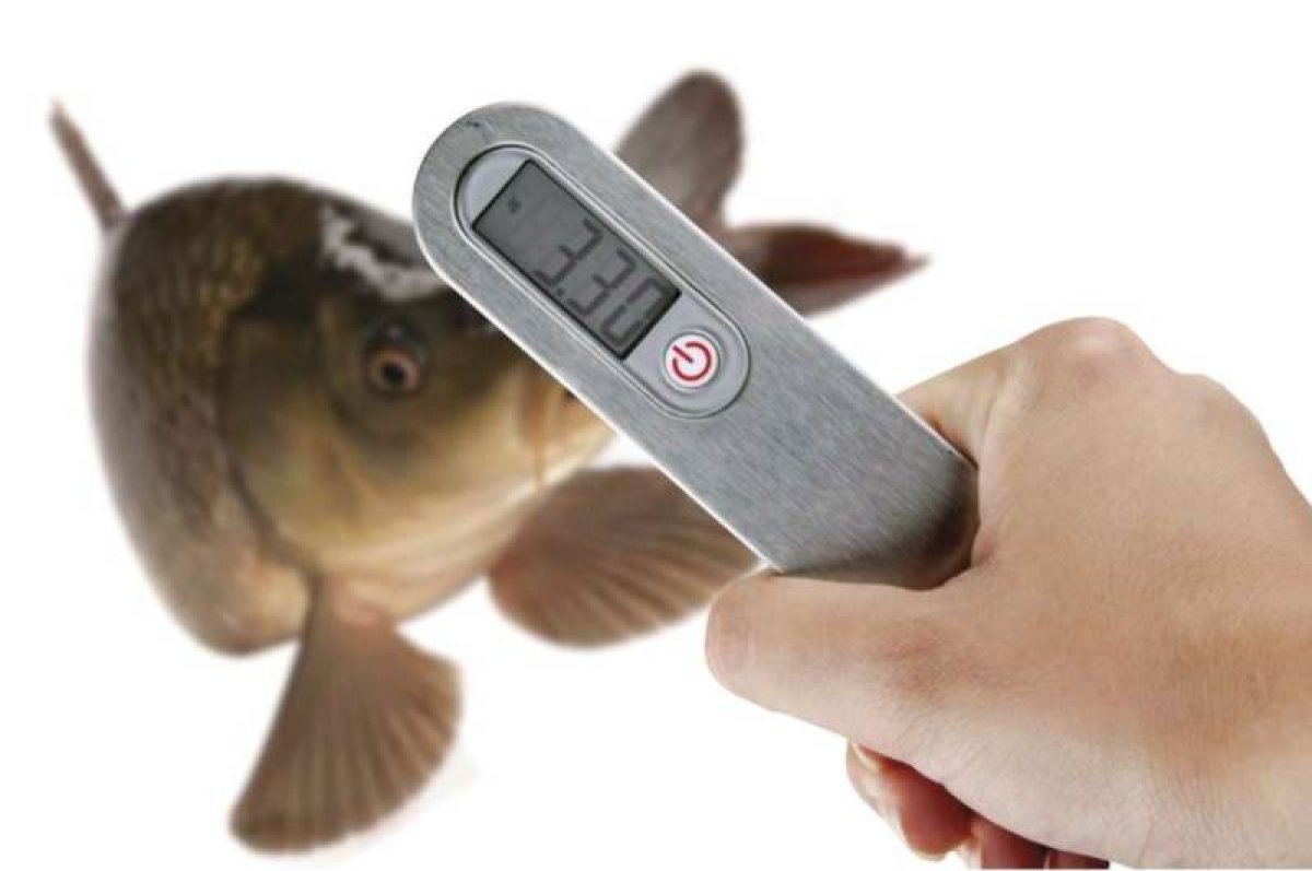 Závěsná ruční digitální váha do 50kg 2817